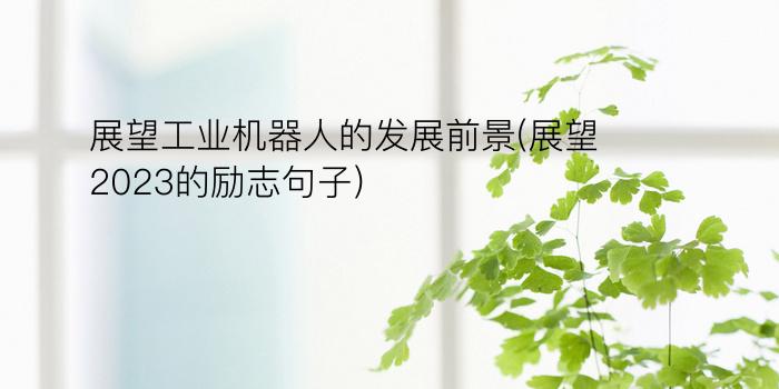 展望工业机器人的发展前景(展望2023的励志句子)