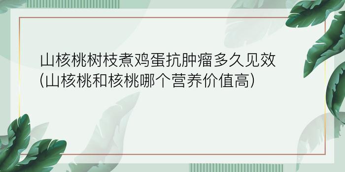 山核桃树枝煮鸡蛋抗肿瘤多久见效(山核桃和核桃哪个营养价值高)