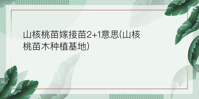 山核桃苗嫁接苗2+1意思(山核桃苗木种植基地)