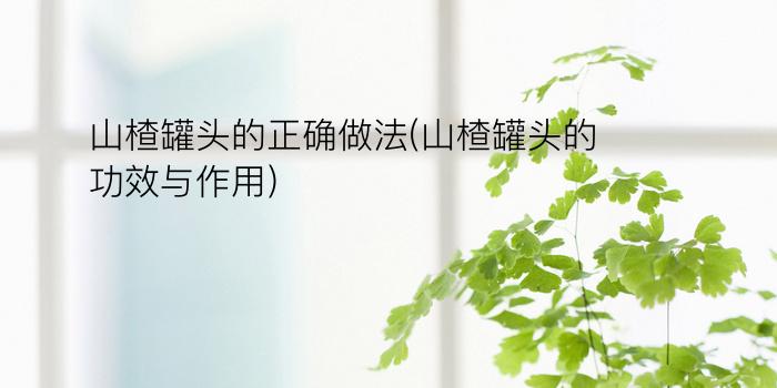 山楂罐头的正确做法(山楂罐头的功效与作用)