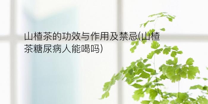 山楂茶的功效与作用及禁忌(山楂茶糖尿病人能喝吗)