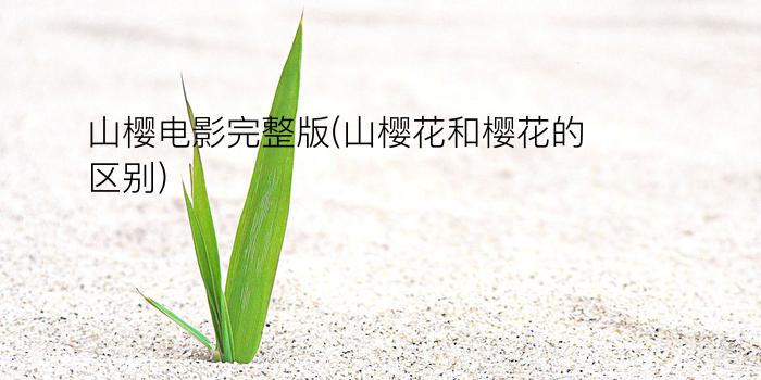 山樱电影完整版(山樱花和樱花的区别)