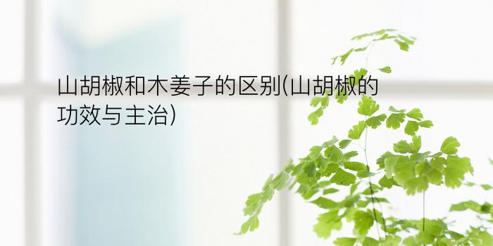 山胡椒和木姜子的区别(山胡椒的功效与主治)