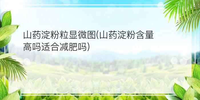 山药淀粉粒显微图(山药淀粉含量高吗适合减肥吗)