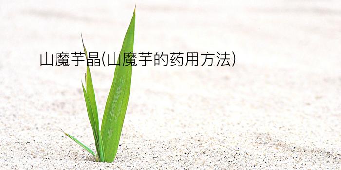 山魔芋晶(山魔芋的药用方法)