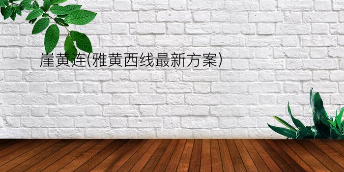 崖黄连(雅黄西线最新方案)