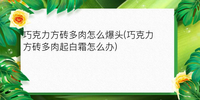 巧克力方砖多肉怎么爆头(巧克力方砖多肉起白霜怎么办)