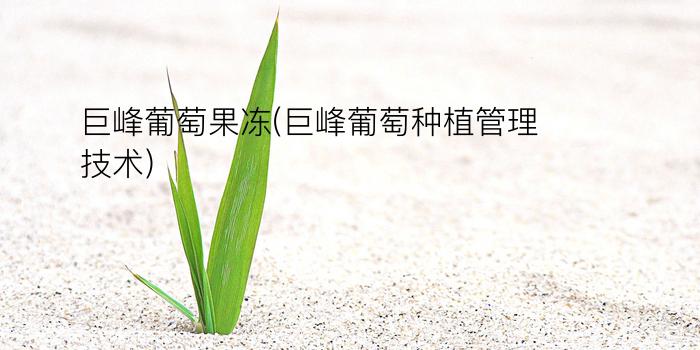 巨峰葡萄果冻(巨峰葡萄种植管理技术)