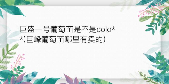 巨盛一号葡萄苗是不是colo**(巨峰葡萄苗哪里有卖的)