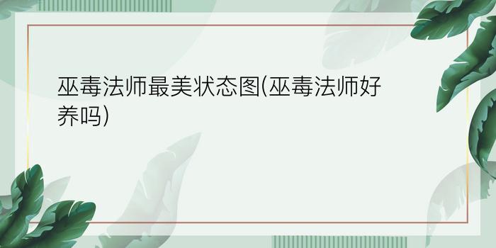 巫毒法师最美状态图(巫毒法师好养吗)