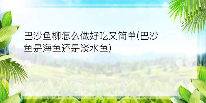 巴沙鱼柳怎么做好吃又简单(巴沙鱼是海鱼还是淡水鱼)