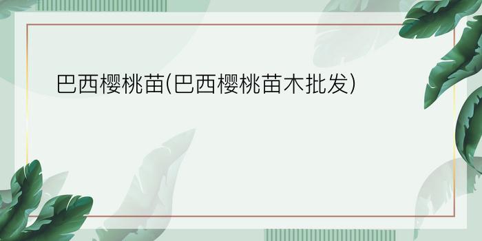 巴西樱桃苗(巴西樱桃苗木批发)