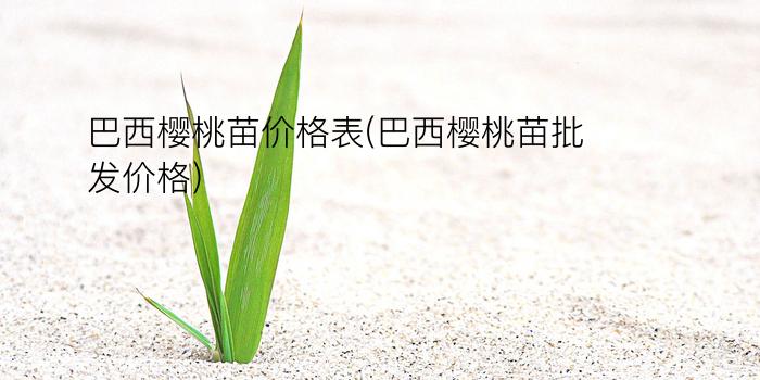 巴西樱桃苗价格表(巴西樱桃苗批发价格)