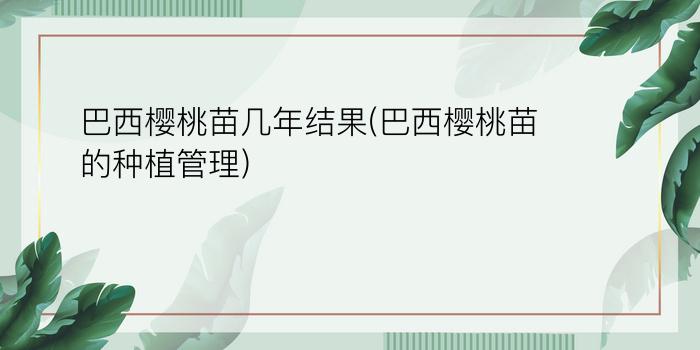 巴西樱桃苗几年结果(巴西樱桃苗的种植管理)