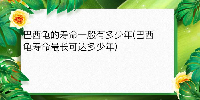 巴西龟的寿命一般有多少年(巴西龟寿命最长可达多少年)