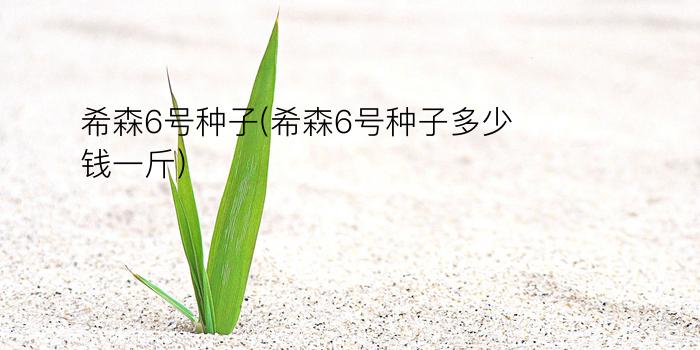 希森6号种子(希森6号种子多少钱一斤)