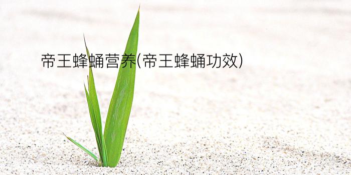 帝王蜂蛹营养(帝王蜂蛹功效)