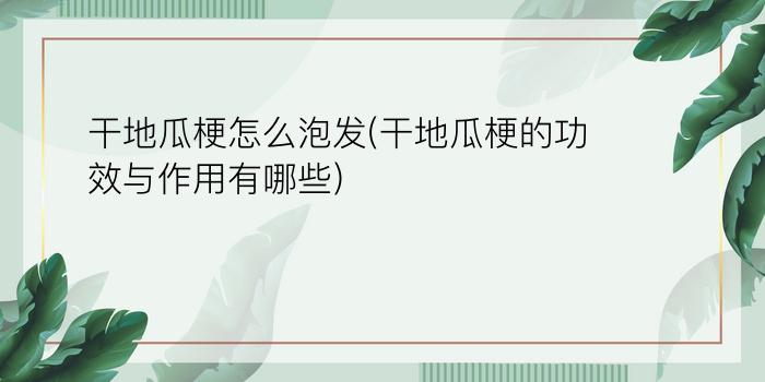 干地瓜梗怎么泡发(干地瓜梗的功效与作用有哪些)