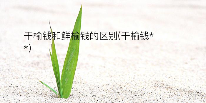 干榆钱和鲜榆钱的区别(干榆钱**)