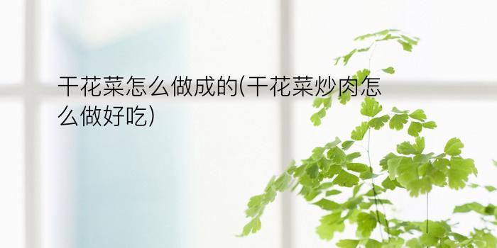 干花菜怎么做成的(干花菜炒肉怎么做好吃)