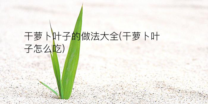 干萝卜叶子的做法大全(干萝卜叶子怎么吃)