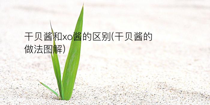 干贝酱和xo酱的区别(干贝酱的做法图解)