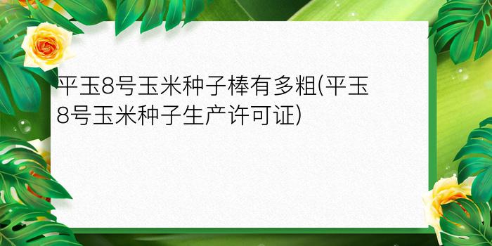 平玉8号玉米种子棒有多粗(平玉8号玉米种子生产许可证)