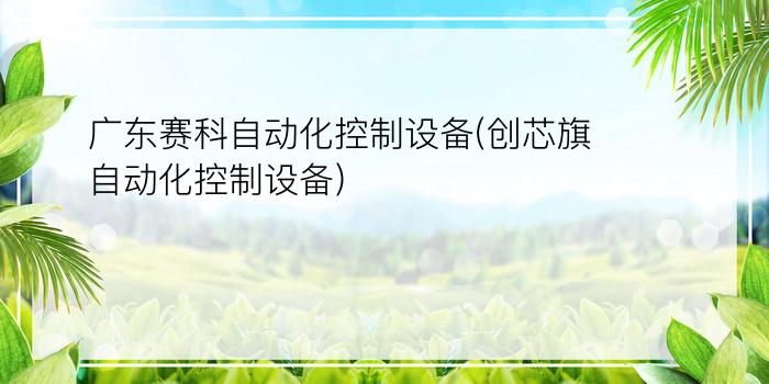 广东赛科自动化控制设备(创芯旗自动化控制设备)