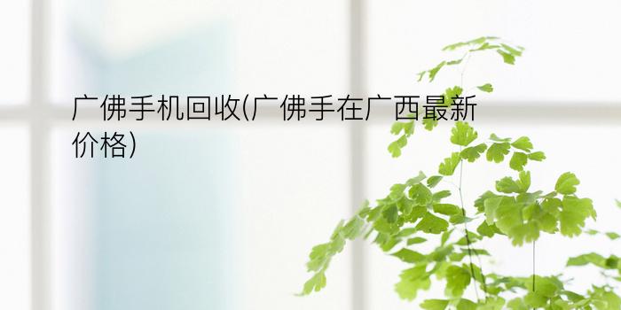 广佛手机回收(广佛手在广西最新价格)