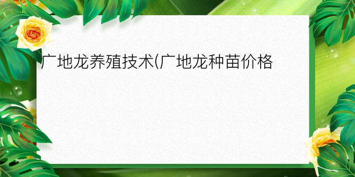 广地龙养殖技术(广地龙种苗价格)