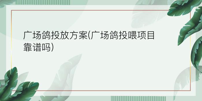 广场鸽投放方案(广场鸽投喂项目靠谱吗)