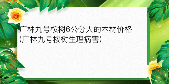 广林九号桉树6公分大的木材价格(广林九号桉树生理病害)