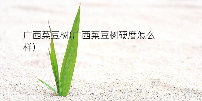 广西菜豆树(广西菜豆树硬度怎么样)