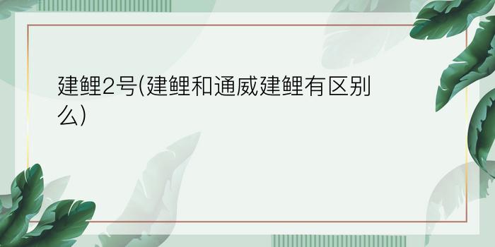 建鲤2号(建鲤和通威建鲤有区别么)