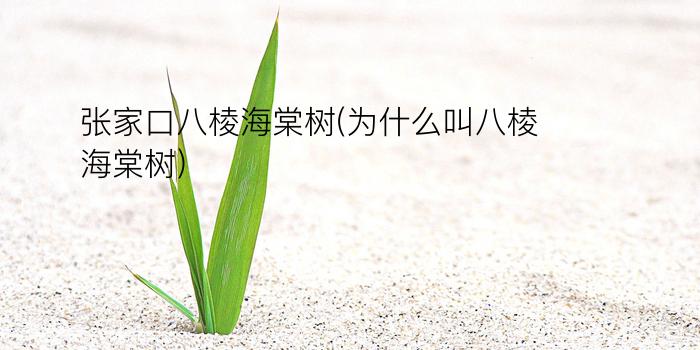 张家口八棱海棠树(为什么叫八棱海棠树)