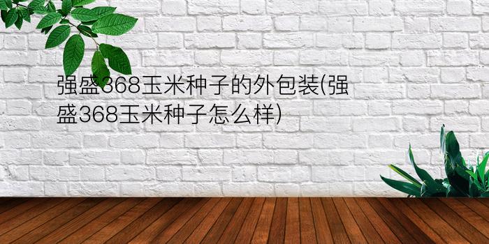 强盛368玉米种子的外包装(强盛368玉米种子怎么样)