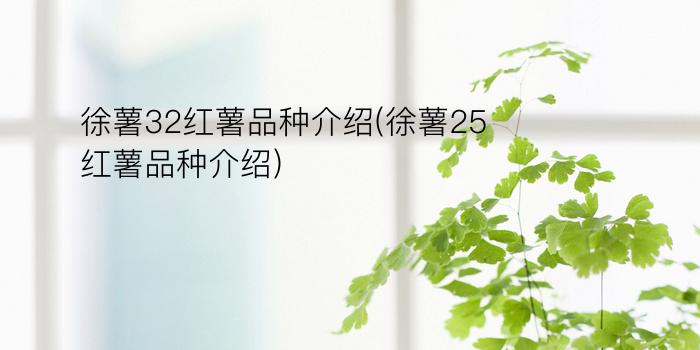 徐薯32红薯品种介绍(徐薯25红薯品种介绍)