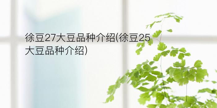 徐豆27大豆品种介绍(徐豆25大豆品种介绍)