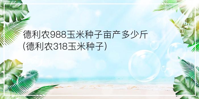 德利农988玉米种子亩产多少斤(德利农318玉米种子)