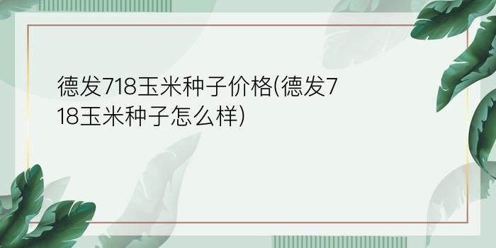 德发718玉米种子价格(德发718玉米种子怎么样)