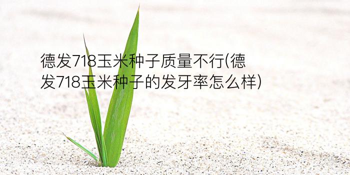 德发718玉米种子质量不行(德发718玉米种子的发牙率怎么样)