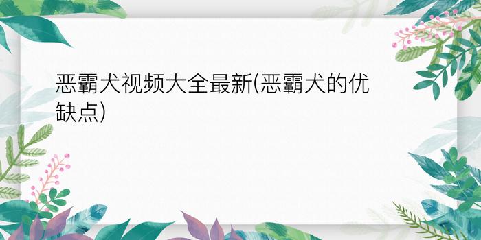 恶霸犬视频大全最新(恶霸犬的优缺点)