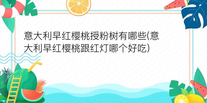 意大利早红樱桃授粉树有哪些(意大利早红樱桃跟红灯哪个好吃)