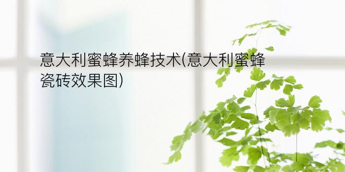 意大利蜜蜂养蜂技术(意大利蜜蜂瓷砖效果图)