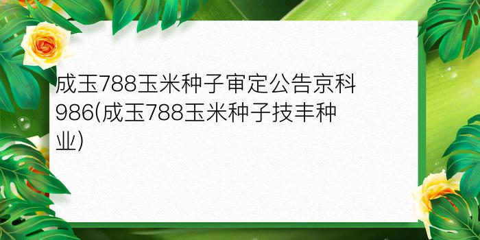 成玉788玉米种子审定公告京科986(成玉788玉米种子技丰种业)