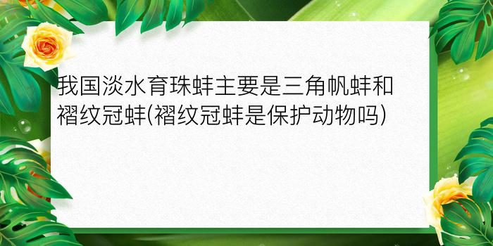 我国淡水育珠蚌主要是三角帆蚌和褶纹冠蚌(褶纹冠蚌是保护动物吗)