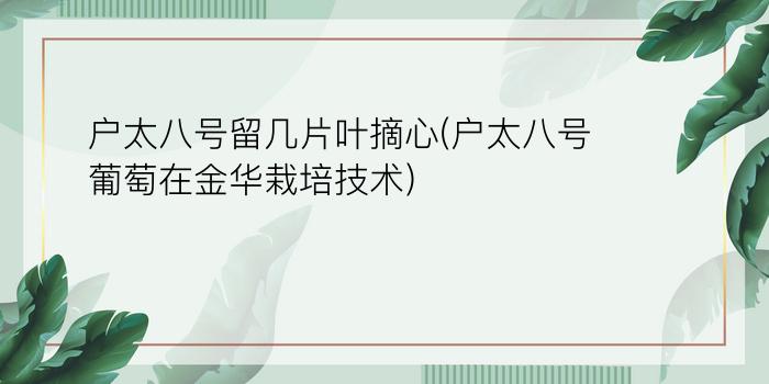 户太八号留几片叶摘心(户太八号葡萄在金华栽培技术)