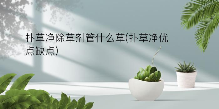 扑草净除草剂管什么草(扑草净优点缺点)