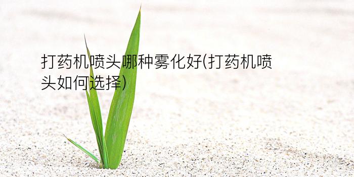 打药机喷头哪种雾化好(打药机喷头如何选择)