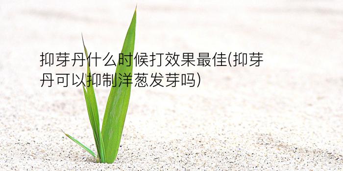 抑芽丹什么时候打效果最佳(抑芽丹可以抑制洋葱发芽吗)